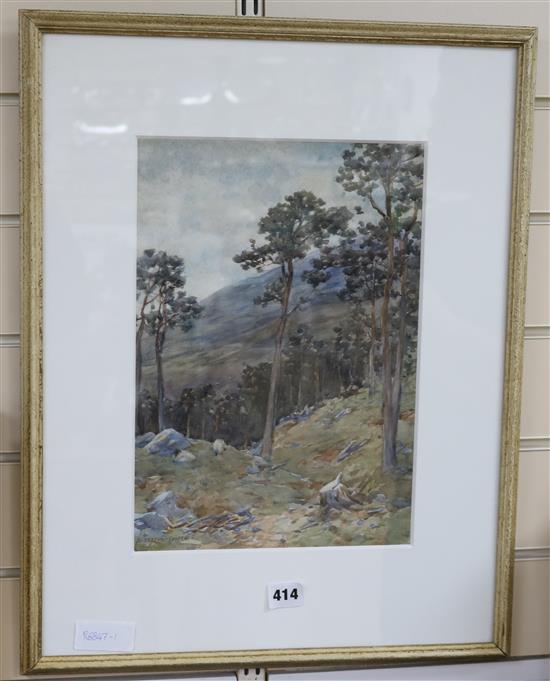 Alfred Heaton Cooper, watercolour, Pine trees on a hillside, signed 35 x 24cm.